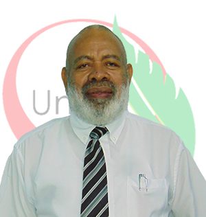 Dr. Dave Vono Whippy